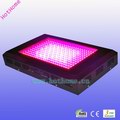600W LED Grow Lighting, with 20,160lm Lumens, 100% Red Color,630;red:blue=8:1; Replacing 1800-2000W MH/HPS Light